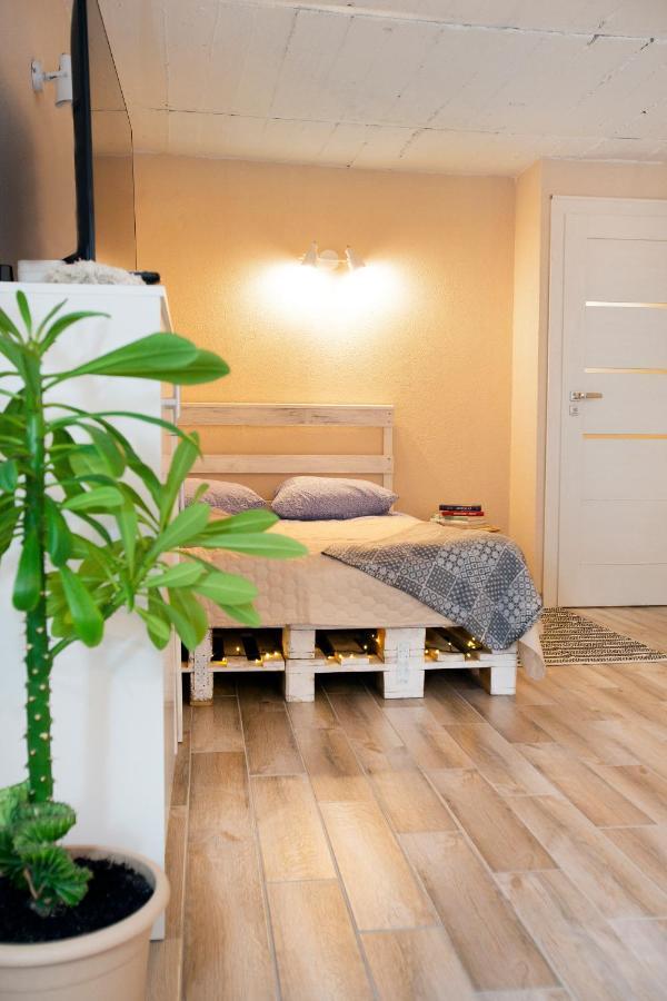 Apartment In Garage With Free Parking Kaunas Exterior photo
